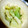 momocookin's cooksnap of when they made 長ネギごま油和え.