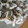 freckle's cooksnap of when they made エビマヨシューマイ.