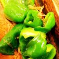 RINAmatin's cooksnap of when they made ウマウマ☆じゃこピーマンの甘辛炒め.