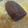 おあじみ's cooksnap of when they made 10分で完成☆蒸しようかん.