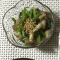 まり郎's cooksnap of when they made レンジで簡単☆法蓮草としめじのおひたし☆.