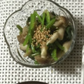 まり郎's cooksnap of when they made レンジで簡単☆法蓮草としめじのおひたし☆.