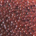 mskyfish's cooksnap of when they made いくらの醤油漬け.