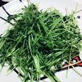 ヒロランド's cooksnap of when they made 豆苗炒め.