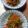 クックZ80X50☆'s cooksnap of when they made 簡単！チアシード入り、もやしの中華サラダ.