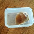 もんすけまま's cooksnap of when they made これで長持ち 生姜の保存方法.