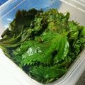 mami3131's cooksnap of when they made 大量消費*青じその醤油漬け♪.