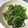 そらおのえくぼ's cooksnap of when they made ウマウマ☆じゃこピーマンの甘辛炒め.