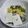 pinkpoet's cooksnap of when they made お肌つるつる！ひじきサラダ★.