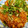 shin1h's cooksnap of when they made サクサク唐揚げ さっぱりおろし香味ソース.