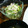 haruSONG's cooksnap of when they made 豆苗とウインナーのマヨサラダ☆.