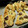 peko106's cooksnap of when they made 簡単 ヨーグルトでさくふわスコーン.
