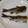 クチバシ's cooksnap of when they made アマゴの塩焼き.