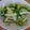 クックX6U3LJ☆'s cooksnap of when they made ゴーヤのサッパリお酢漬け.