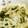 max4995's cooksnap of when they made もやしとわかめのナムル.