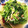 ちょんまげあき's cooksnap of when they made 青菜炒め.