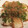 ダイゴロウママ's cooksnap of when they made 簡単おつまみ♪厚揚げチーズ.