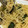 うろこ豆's cooksnap of when they made 簡単和風パスタ.