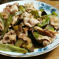 クックHDEMZQ☆'s cooksnap of when they made 箸が進む♪ナスと豚肉とピーマンの味噌炒め.