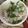 みっぱな's cooksnap of when they made 簡単朝ごはん。しらす大葉ご飯.