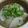 まいめる0720's cooksnap of when they made ＋　カブとベーコンのトロトロスープ　＋.