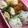 たにたーに's cooksnap of when they made 黒豆煮入り卵焼き.