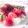 わにわに＊'s cooksnap of when they made 新玉ねぎとトマトのサラダ.