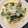 苺＊cake's cooksnap of when they made 簡単ランチ★舞茸と玉ねぎの豆乳パスタ.