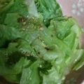 ma___111's cooksnap of when they made レタスをチン！簡単！湯引き風ホットサラダ.