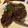 ゆーたん1212's cooksnap of when they made ラム肉のソテー・バルサミコソース.