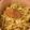 BiwacoJune's cooksnap of when they made ザワークラウト（常備菜）.