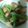 灯籠猫's cooksnap of when they made 茄子シシトウの味噌炒め.