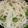✾やまさん✾'s cooksnap of when they made 超簡単☆卵納豆うどん.
