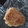 Pingalian's cooksnap of when they made 簡単焼きおにぎり♡ 冷凍OK♪.
