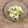 まっちゃん☆嵐子's cooksnap of when they made 水菜と豆腐の浸し和え☆簡単☆時短.