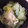 まッこスープ's cooksnap of when they made 簡単中華✨餃子の皮でスープ小籠包.