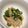 kokoa2号's cooksnap of when they made 超時短！オクラエノキのポン酢リンゴ酢和え.