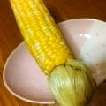 コディバ's cooksnap of when they made 熱いから☆皮を持って食べるトウモロコシ.