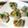 めけてー's cooksnap of when they made 残り物野菜で生春巻き♪.