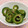 Arashicer's cooksnap of when they made ゴーヤとみょうがのおかか酢和え.