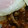 クックLH7A86☆'s cooksnap of when they made しいたけと野菜の甘辛ガーリック丼☆五香粉.