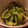 実希男's cooksnap of when they made キユウリとみようがの酢の物.