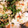 クックJYUHST☆'s cooksnap of when they made 簡単！ちらし寿司♪.