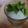 mikiha5's cooksnap of when they made 朝食でのフルーツグラノーラ.