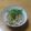 いち朗's cooksnap of when they made 昆布水とポン酢で絶品いか（するめ）ご飯.
