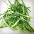 GoGo島みかん's cooksnap of when they made ＊オシャレなネギの切り方＊.