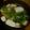 個覧夢's cooksnap of when they made 豆腐と九条ネギの味噌汁.