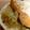 向日葵くっく's cooksnap of when they made レンジでチン☆鮭蒸しポン酢.