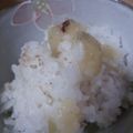 プリンセスコンスエラ's cooksnap of when they made さつま芋ご飯.
