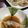 norc's cooksnap of when they made 普通の餃子のたれ.